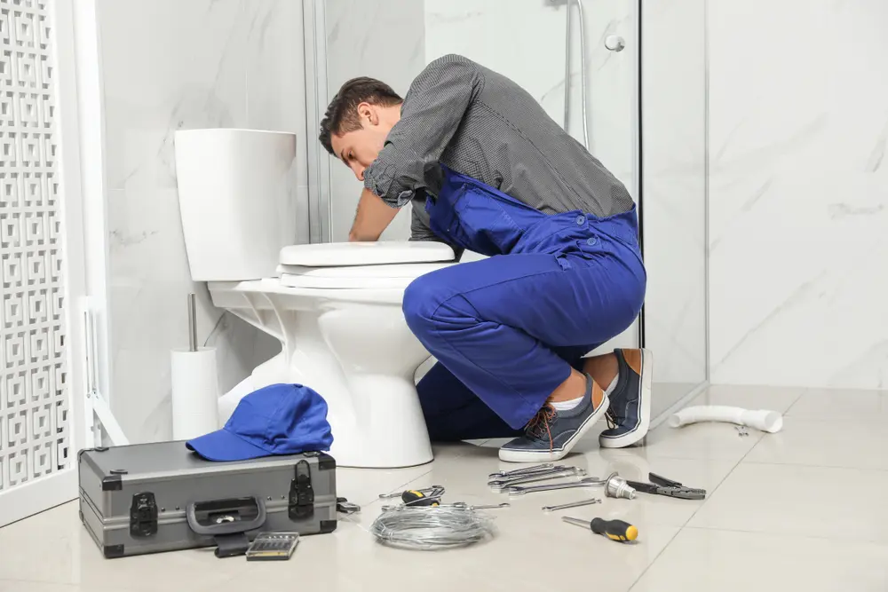 Toilet Installation in La Blanca